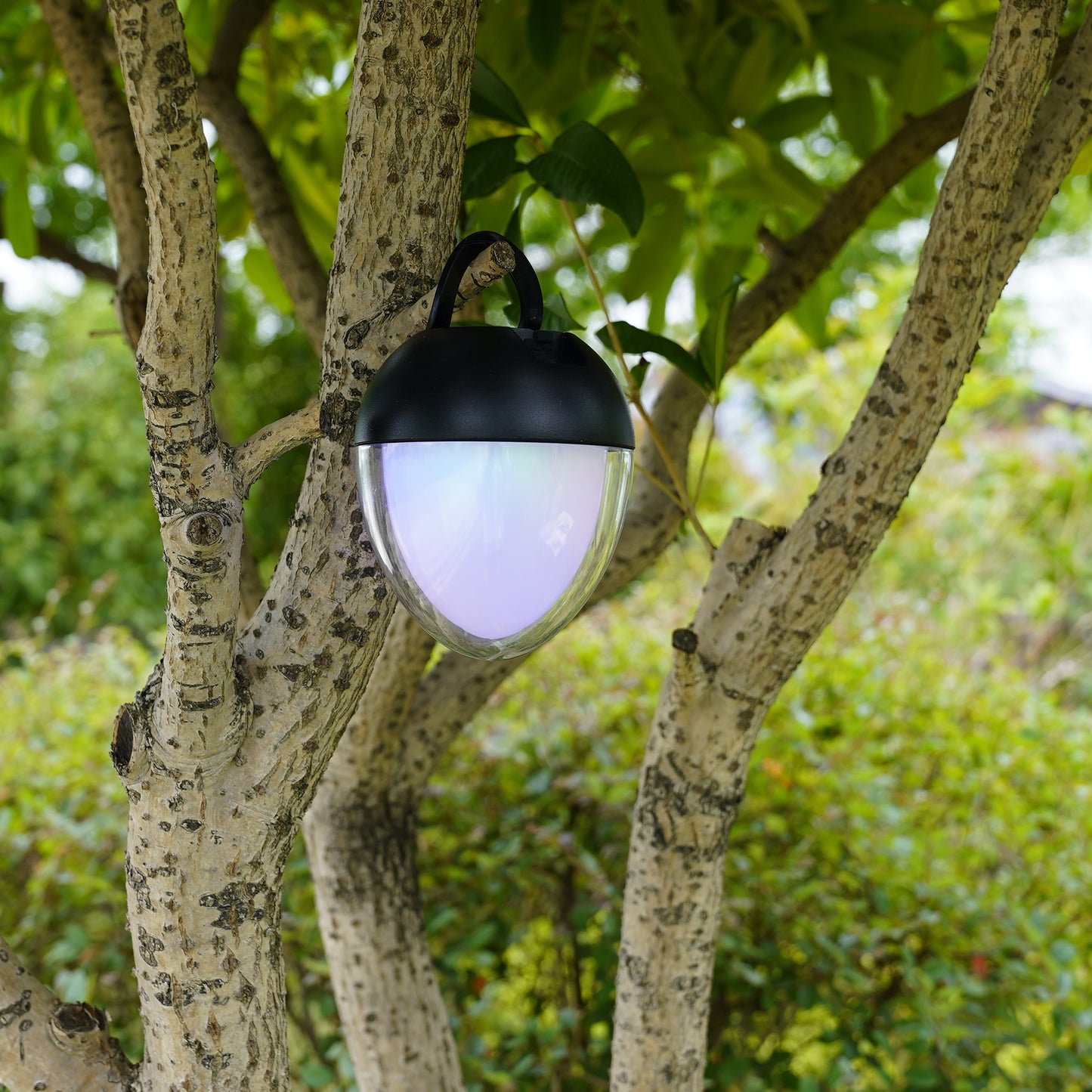 Lampe de table décoration LED blanc + RGB rechargeable OVIE H12cm