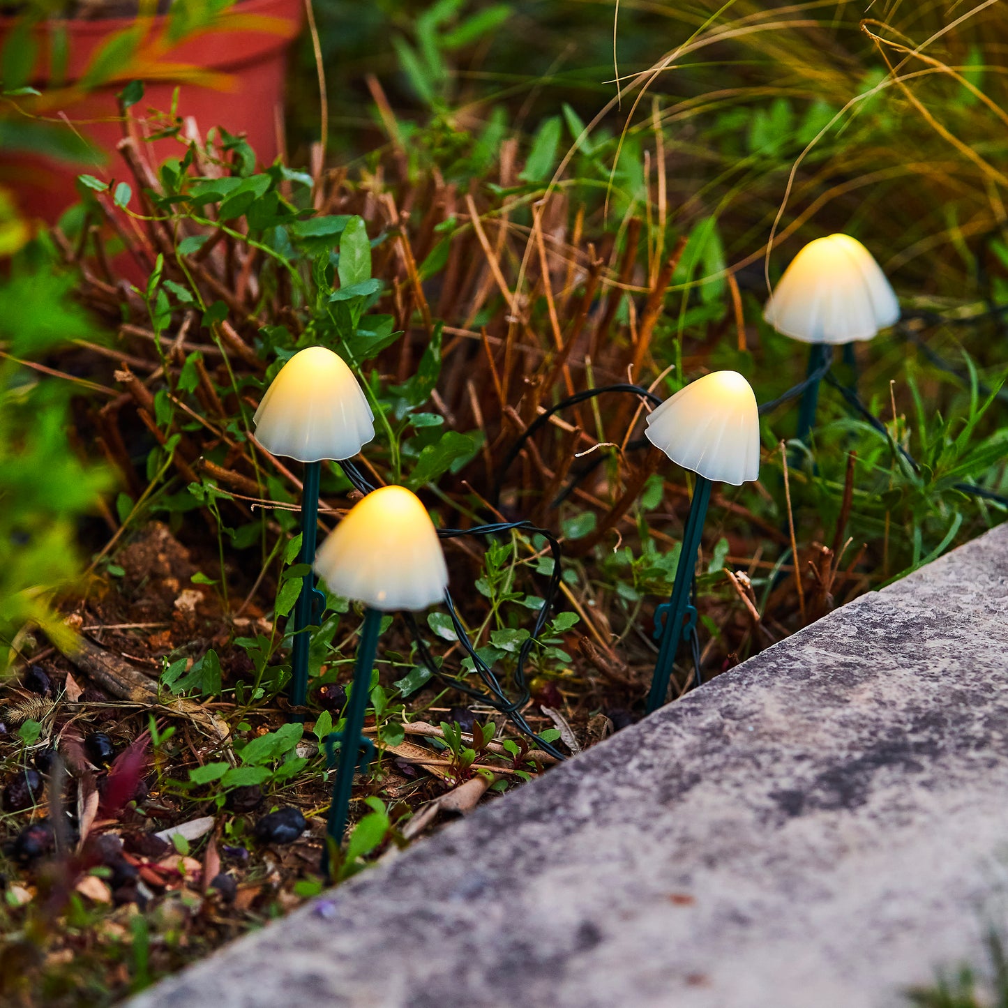 10 mini-champignons lumineux solaires à piquer balisage allée CHAMPY LED blanc chaud 3.8m