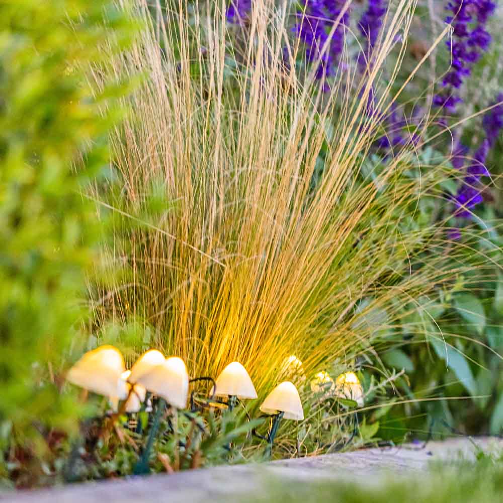 10 mini-champignons lumineux solaires à piquer balisage allée CHAMPY LED blanc chaud 3.8m