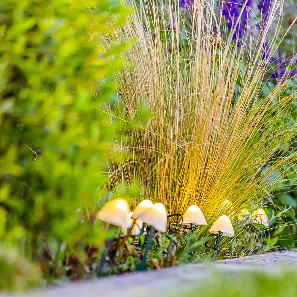 10 mini-champignons lumineux solaires à piquer balisage allée CHAMPY LED blanc chaud 3.8m