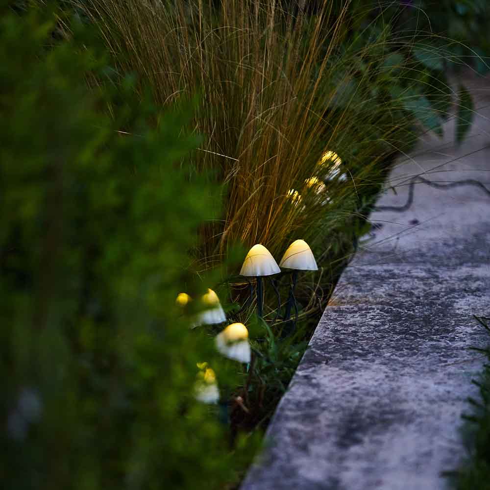 10 mini-champignons lumineux solaires à piquer balisage allée CHAMPY LED blanc chaud 3.8m