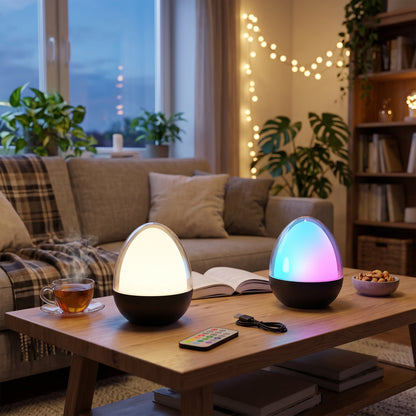 Lampe de table décoration LED blanc + RGB rechargeable OVIE H12cm