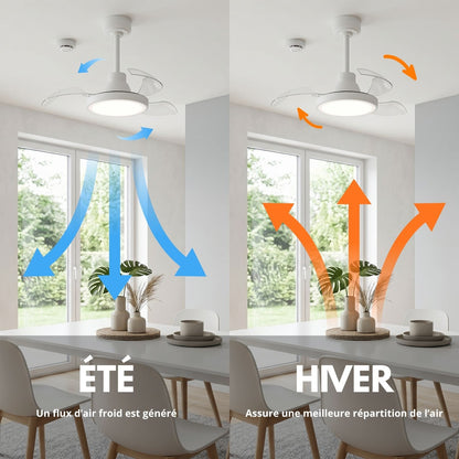 Ventilateur de Plafond BRYSEA 63cm avec Luminaire LED 20W Intégré Petit Ventilateur Silencieux 50dB pour Chambre Salon Cuisine Moteur DC 20W Basse Consommation Réversible Mode Été Hiver avec Télécommande Plafonnier Moderne 2100 Lumens Blanc