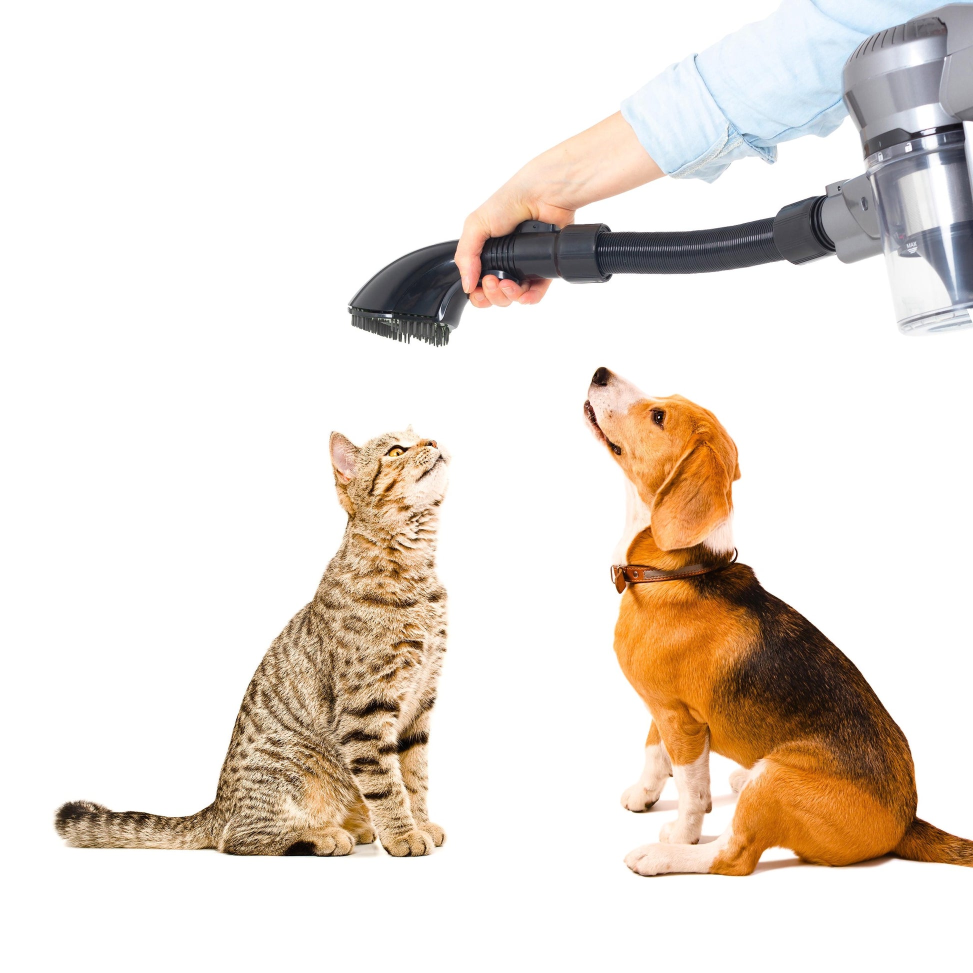 Aspirateur balai sans fil 2 en 1 multifonction sans sac avec brosse animaux 160W - REDDECO.com